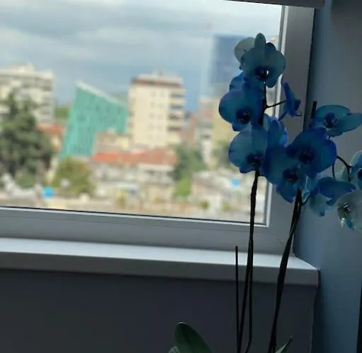 Appartement Voyage Penthouse *